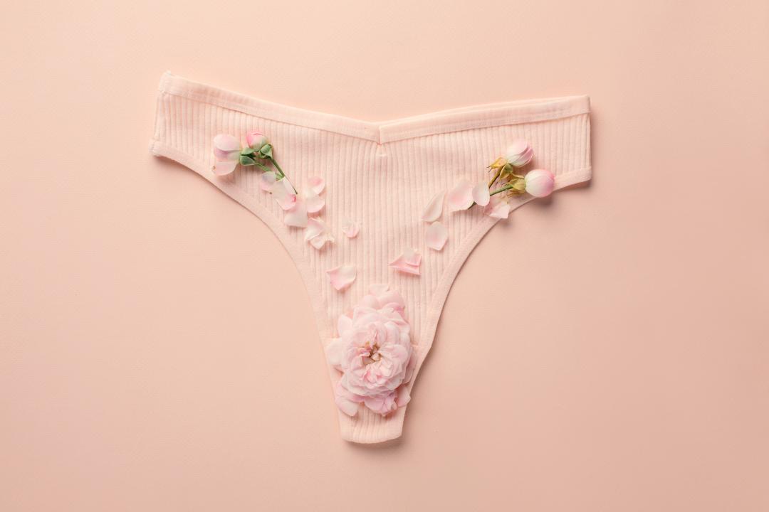 Beyond Comfort: How Period Underwear Is Reshaping the Intimates Market